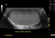 ml6-15-scrot-2.jpg