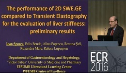 The performance of 2D SWE