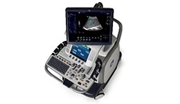 Shear Wave Elastography 